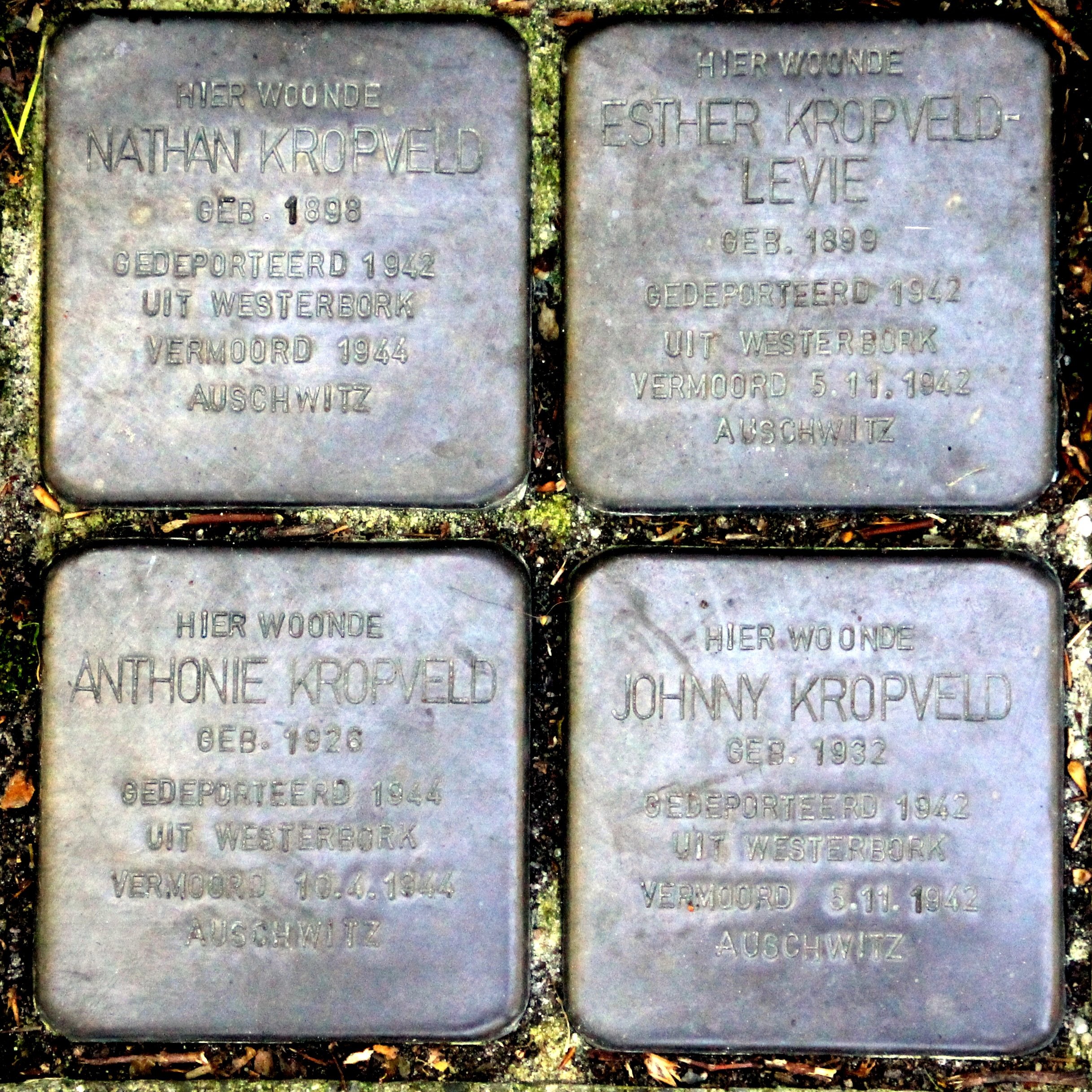 Anthonie Kropveld