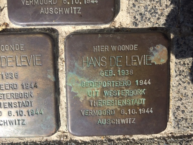 Hans de Levie