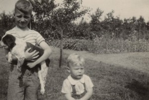De familie David