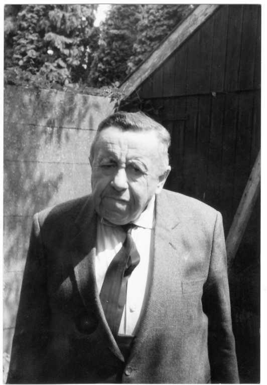 Ernst Wolff